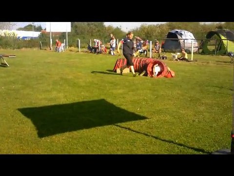 concours Agility Brest 2 octobre 2011Morgane et Easydo