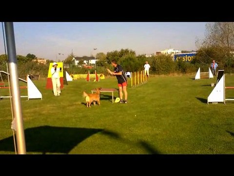 concours Agility Brest 2 octobre 2011 Christian et elia
