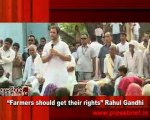 “Farmers should get their rights” Rahul Gandhi