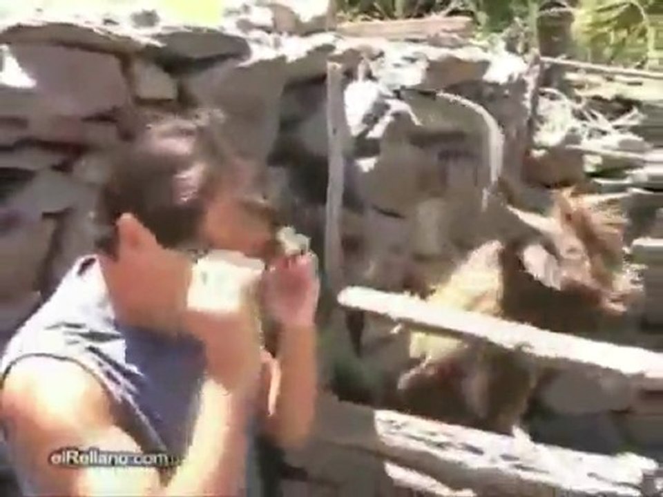 Козел Генри