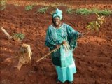 Oxaï Roura presents: Remember Forever Wangari Maathai