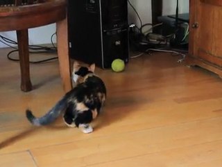 Olga et la balle 3 oct 2011