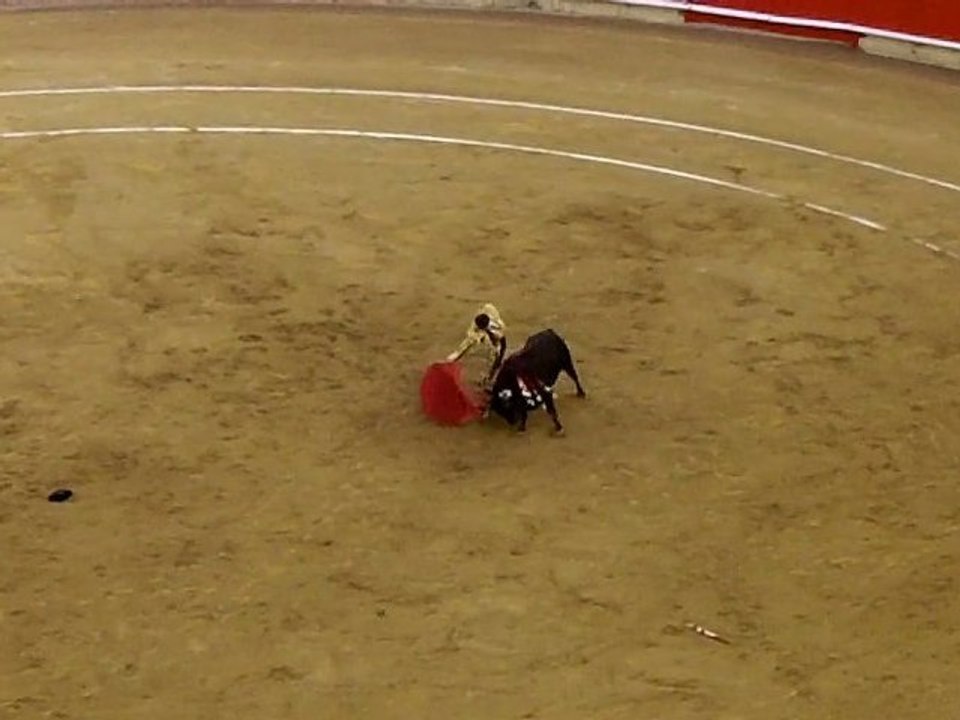 José Tomas et son dernier toro à Barcelone