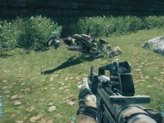Best bug ever on Battlefield 3 Demo