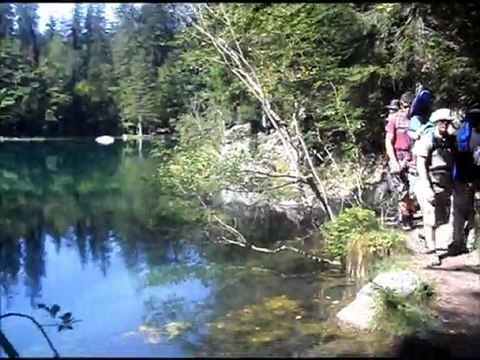 Bivouacs familiale dans les forêts alpines Partie 6