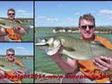 Pêche du loup-bar aux leurres-poissons nageurs en canal par Europêche34