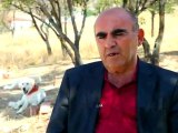 Türk çoban Köpeği: Akbaş/ İslam Gemici/ Dünya Bülteni