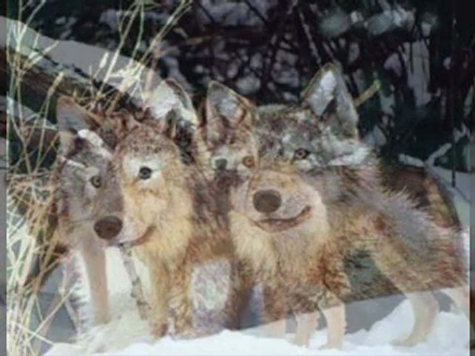 Sans titre_20111003_160947