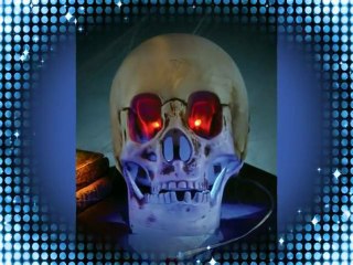 Animated Skull Halloween Prop