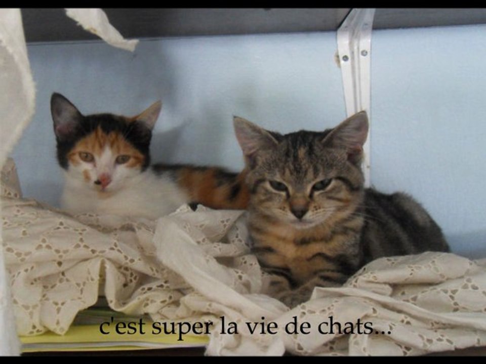 Cassandra et Princesse le 2 Octobre 2011