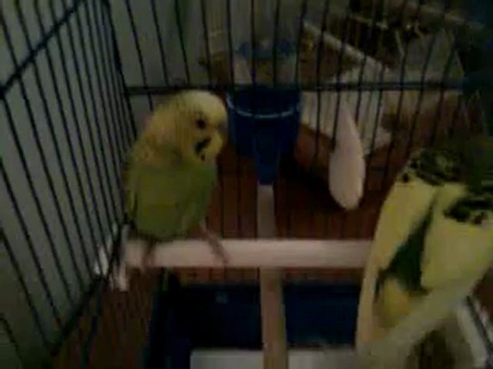 Video0041