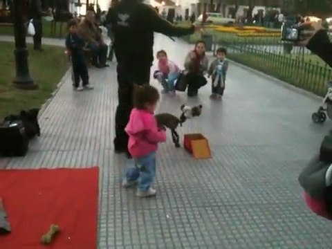 Le chien marionnette et l'enfant