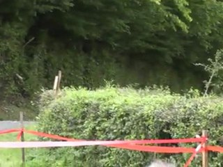 Coeur de France 2011 - CHOLLET/GOUINEAU