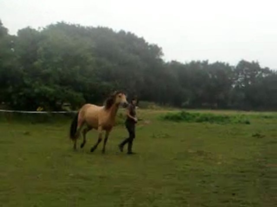 Vidéo0064