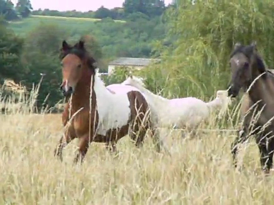 Moment de folie....