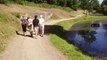 041_Les fortifications de Vauban (Le Quesnoy)