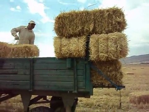 Balya yükleme makinası