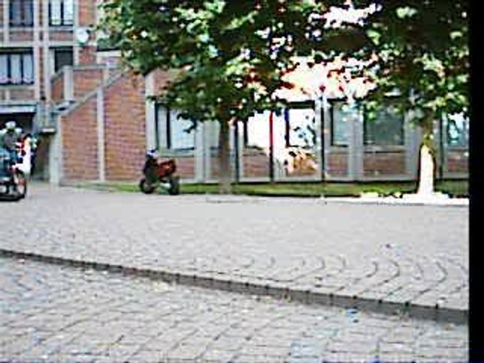 50620069