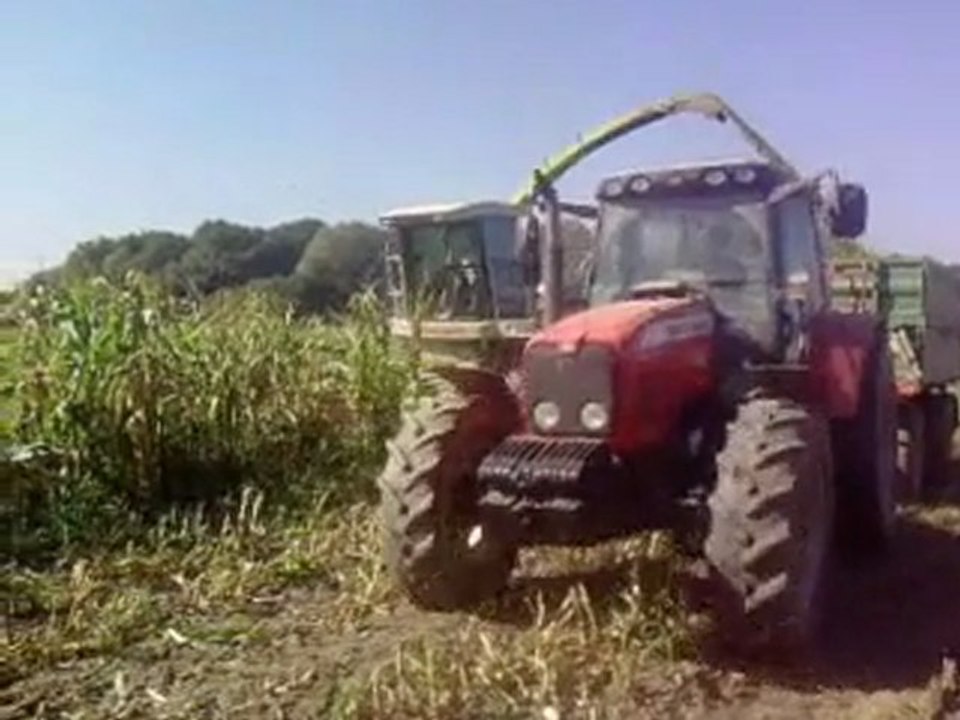 siliranje