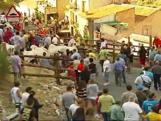 El camino de Amilcar en Ayna con Modesto Colorado
