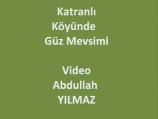 Köyde Güz İşleri