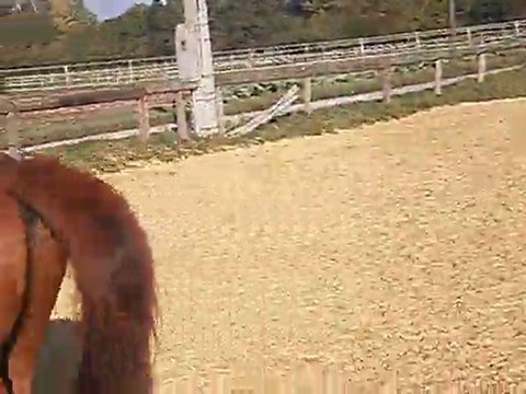 prince en rene allemandes