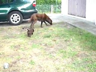 repas du 7 octobre - il est temps de jouer