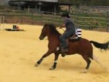 Barrel race Francky-petit Prince