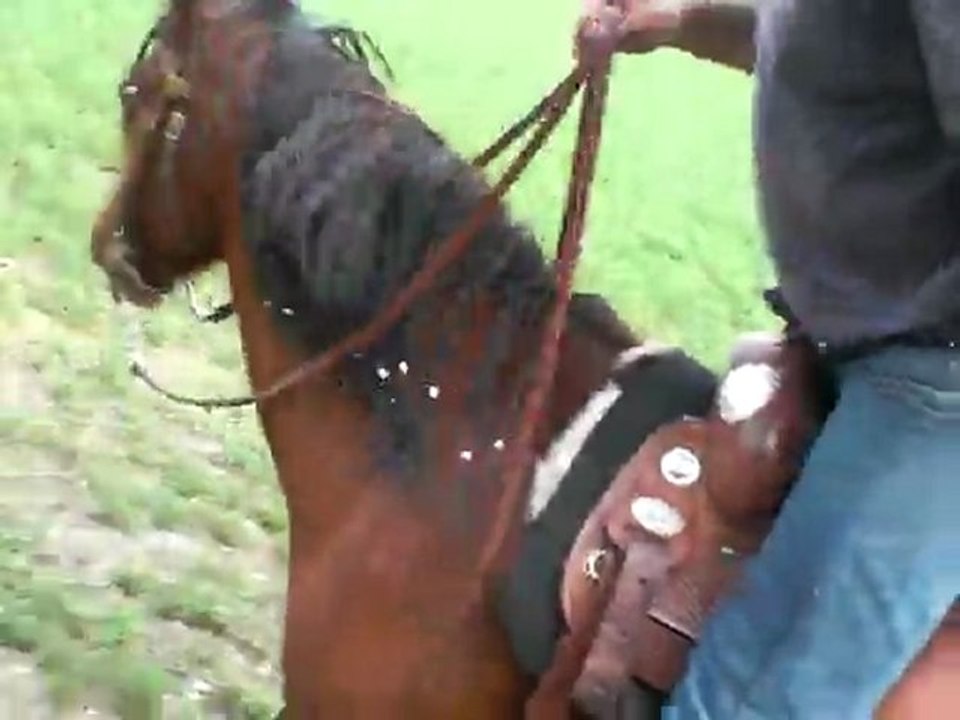 Ballade