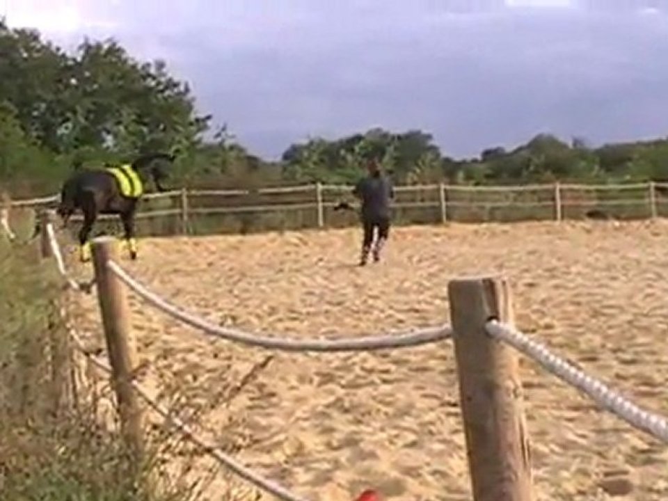 MOV041