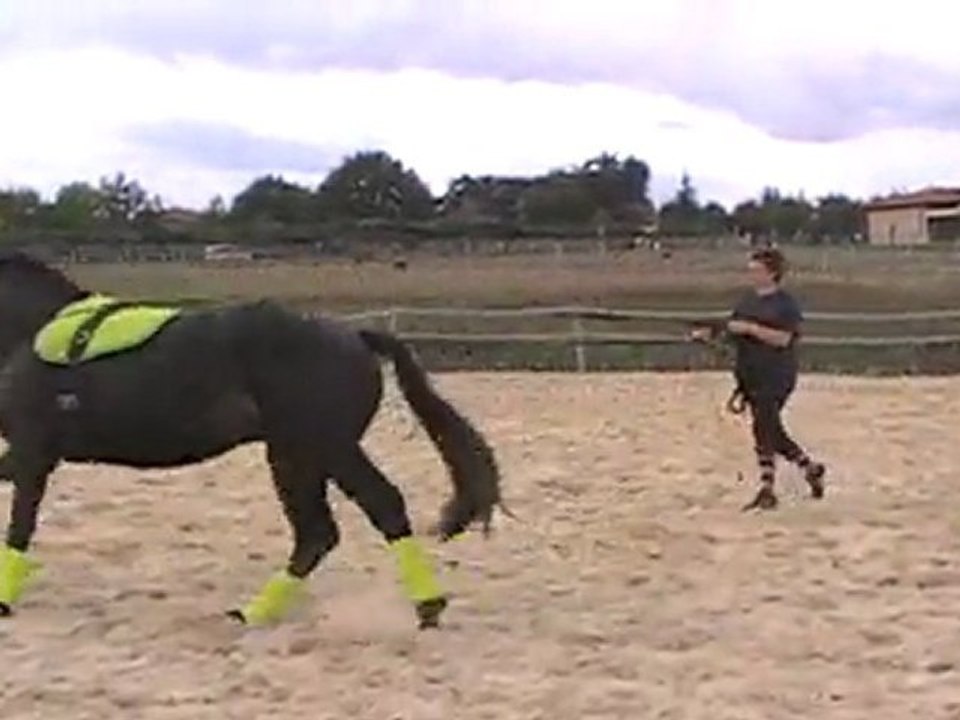 MOV040