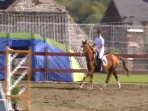 D.M. El Gringo Parcours Obstacle Falisole