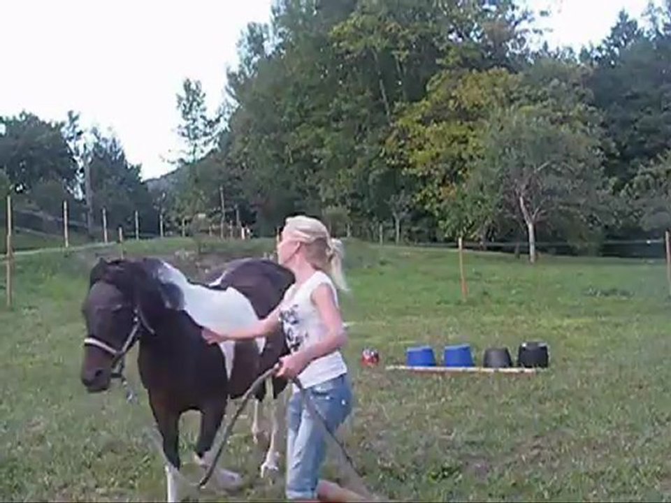Petit Saut .