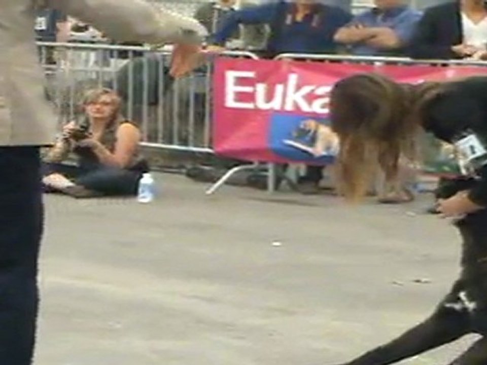 RE Cane Corso Avignon 2011 Federico de la Guittonnie
