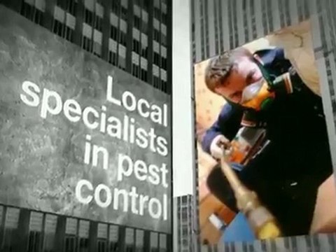 Sussex Pest Control Services - Brighton & Worthing 01273 514802