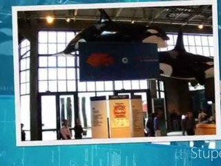 Dvd Musique Classique HD Music SUPERCOPTER 6 The Jean-Luc Pouchet Collection (2011)