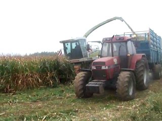 Ensilage 2011