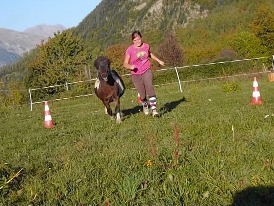 Defis 11, le tréfle, Loustic