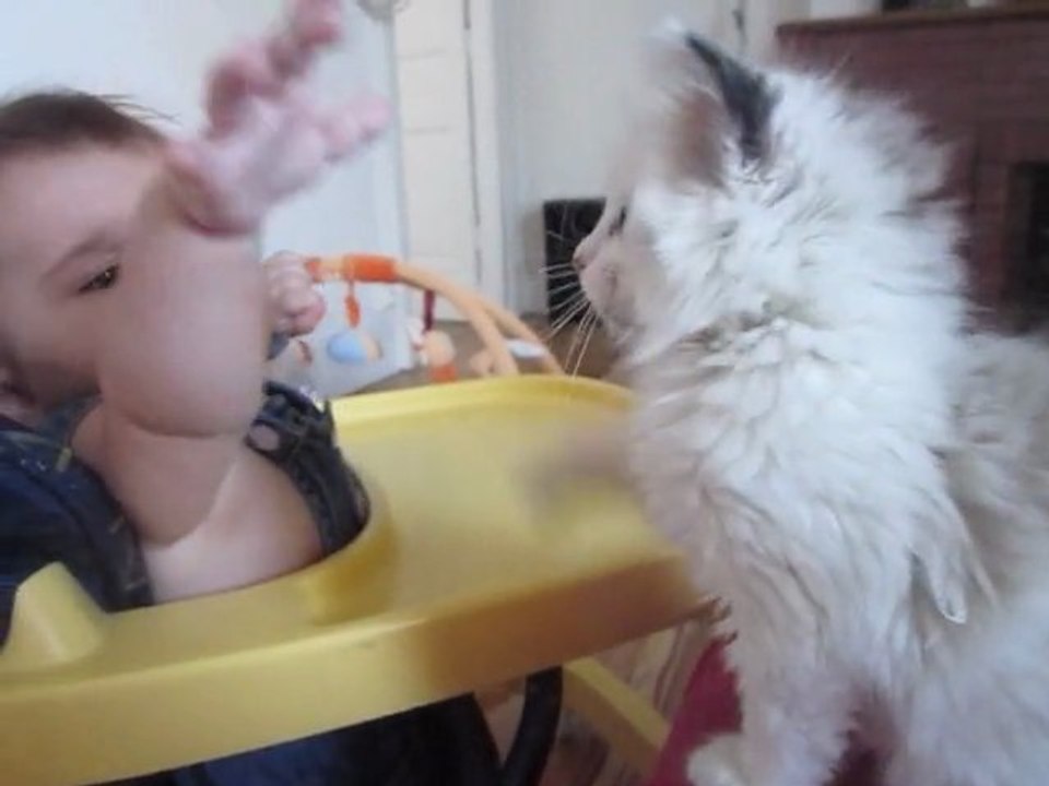 lana et skylie qui joue ensemble