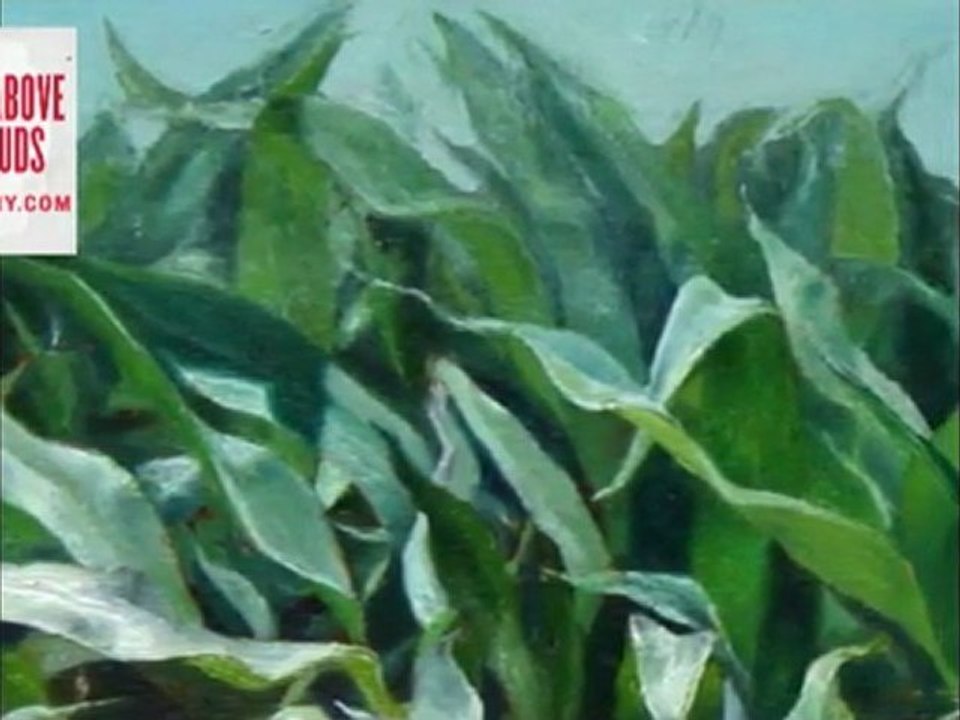 RUMBLE ABOVE THE CLOUDS: Emily Adams