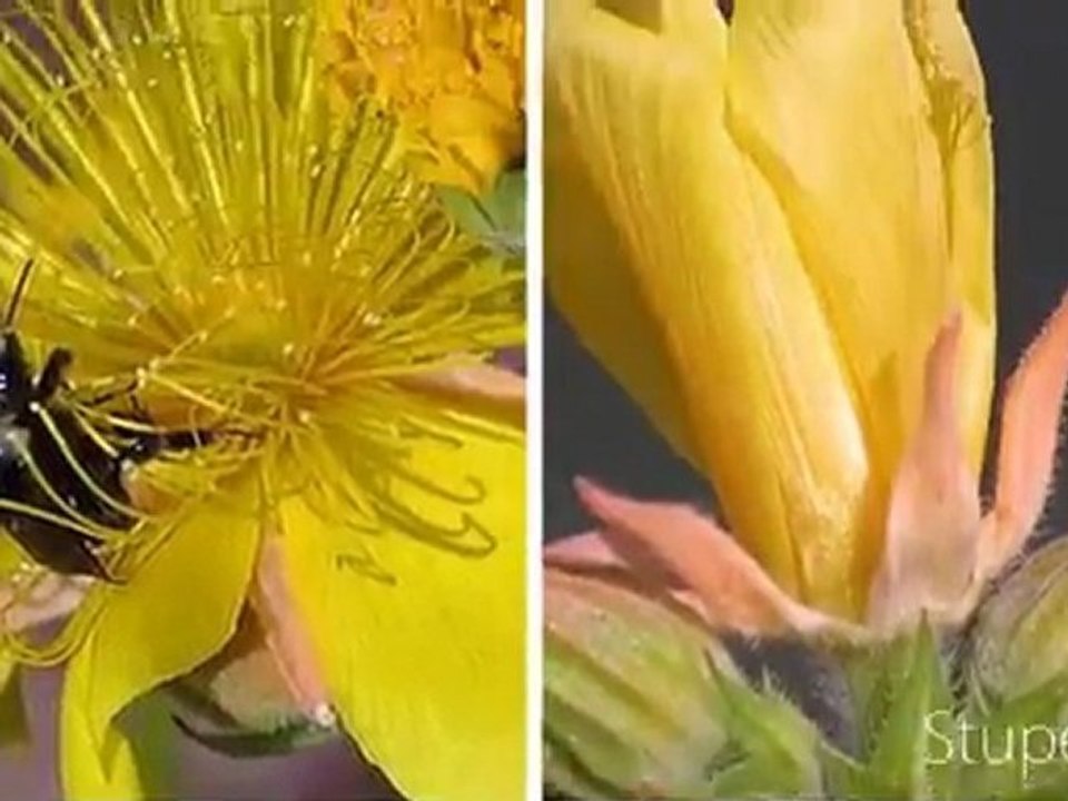 SUPERCOPTER CD MUSIQUE CLASSIQUE Jean-Luc Pouchet The Jean-Luc Pouchet Collection…