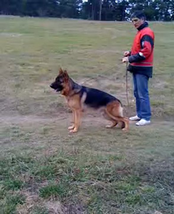 Petite  video de Solo prise à l'improviste  par Eric avec  l'I-Phone de Karim