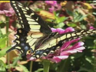 IPHONE 4S: Apple advert for new iPhone