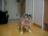 Booba and his yellow shoes