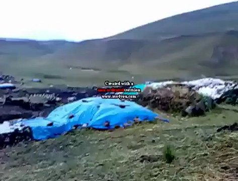 APTULAH PAPUR ve KARS SELİM @ MEHMET ALİ ARSLAN Videos