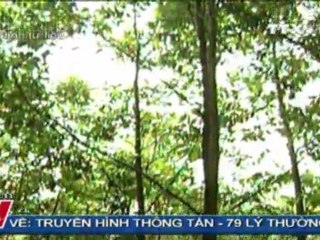 THỜI SỰ 19H 04.10.2011, TTXVN, VNEWS, VNA, TRUYỀN HÌNH THÔNG TẤN, TTXVN