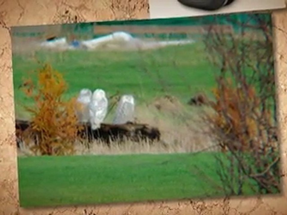 Bushnell Tour V2 Golf Laser Rangefinder - Best Deal Online