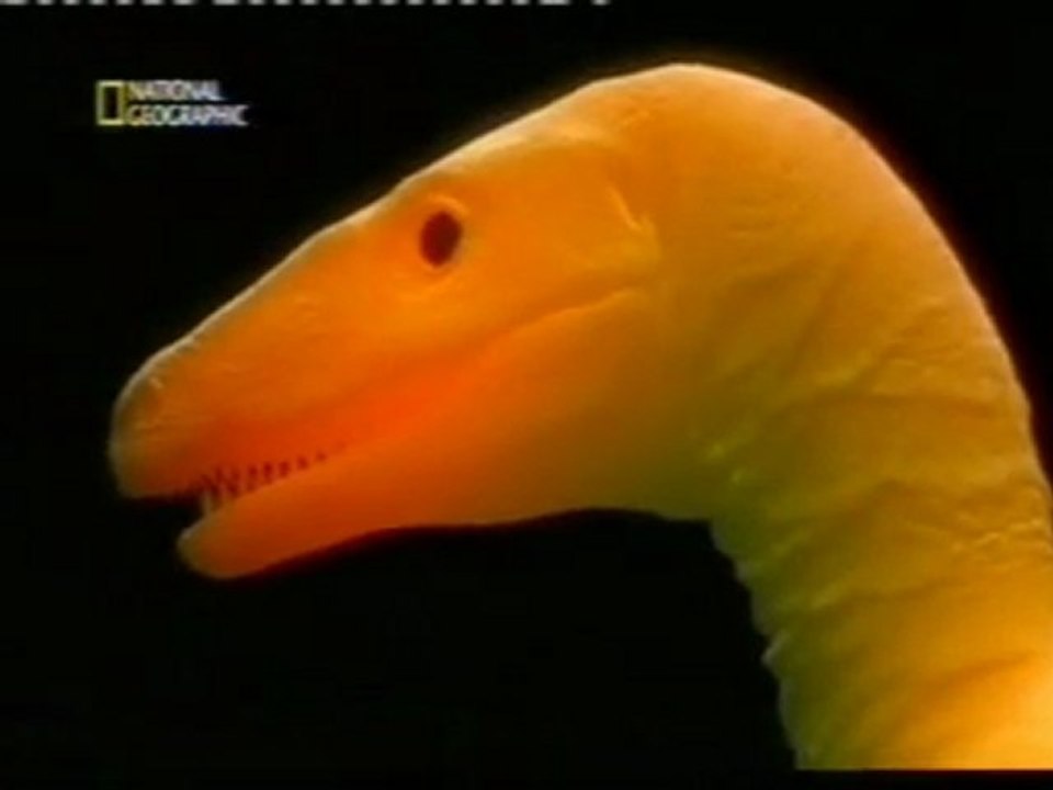 Dinosaurios: El Eoraptor