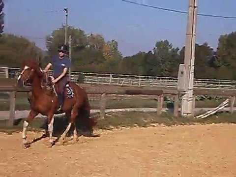 prince en rene allemandes