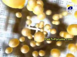 Sahir Lodhi Ariel Ad